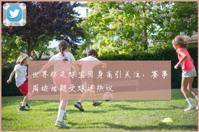 世界杯足球宝贝身高引关注,赛事周边话题受球迷热议